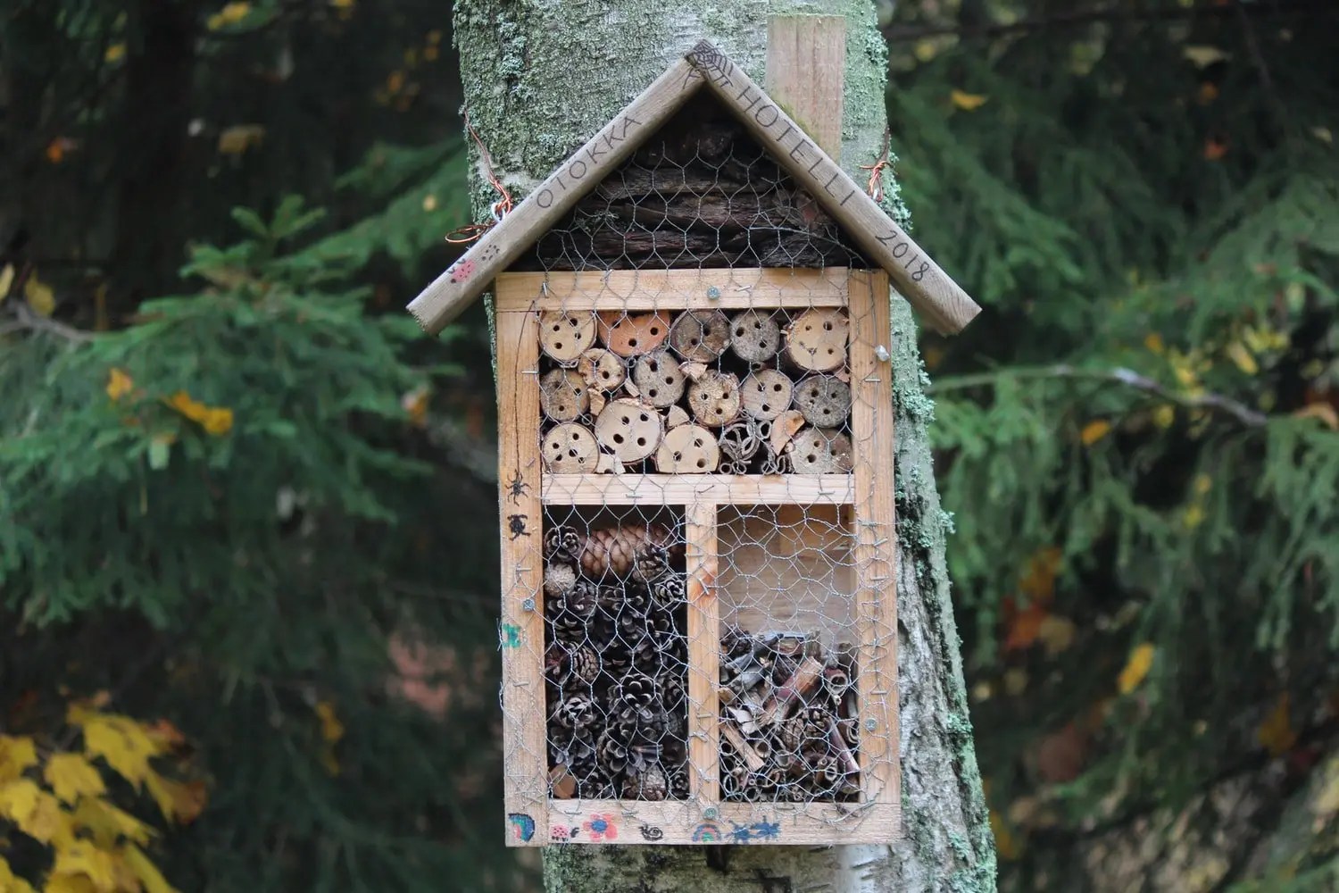How To Make A Rain Guard For A Bird Feeder (And What To Use!) Born
