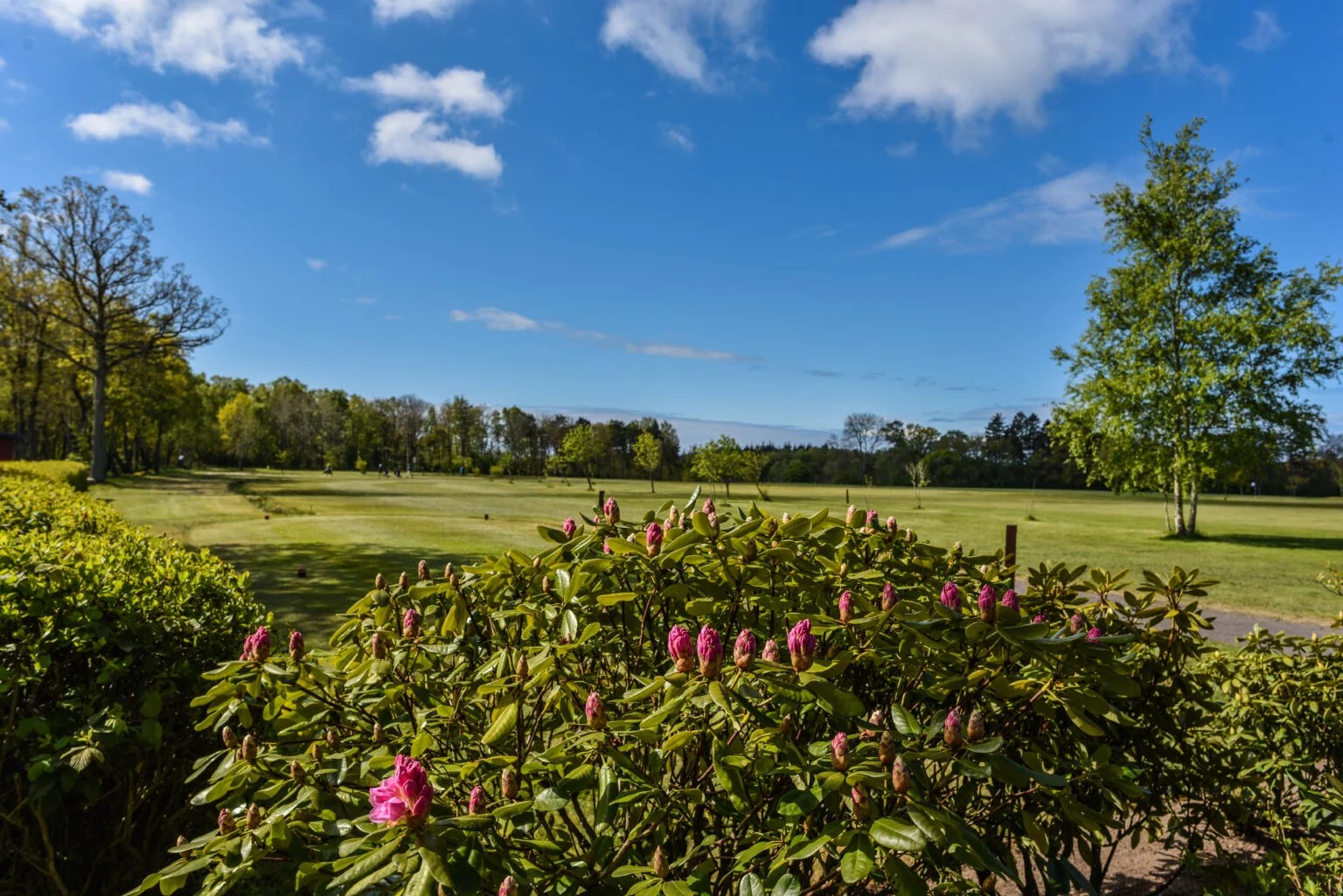 Bornholms Golf Klub Bornholms Golf Klub BGK Rønne