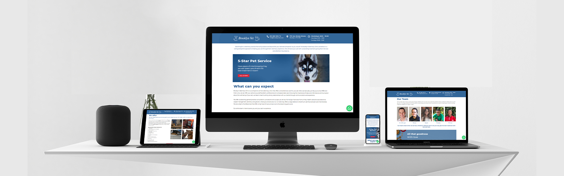 Brooklyn Vet Clinic site Revamp BORN Intelligence