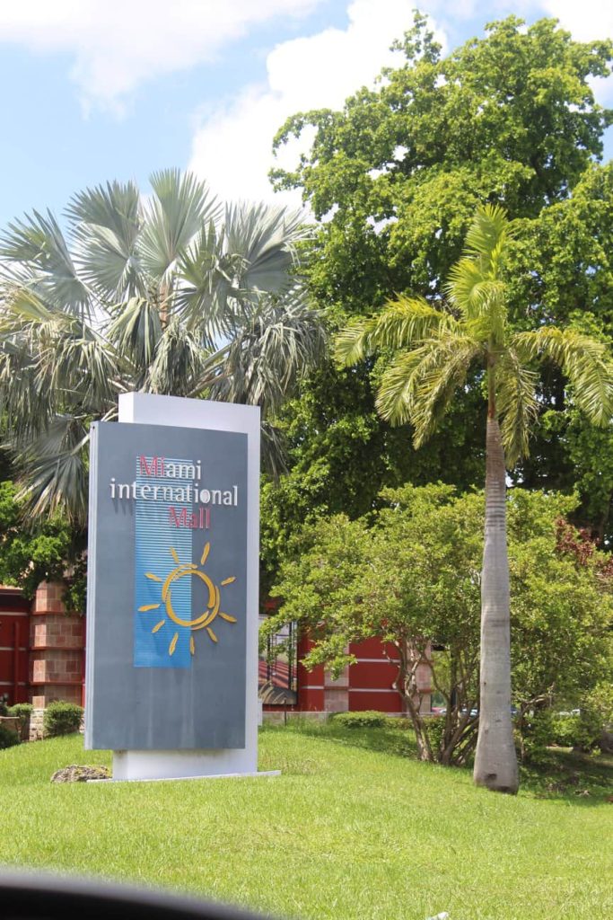 Top 11 Malls You Need To Visit in Miami, Florida!