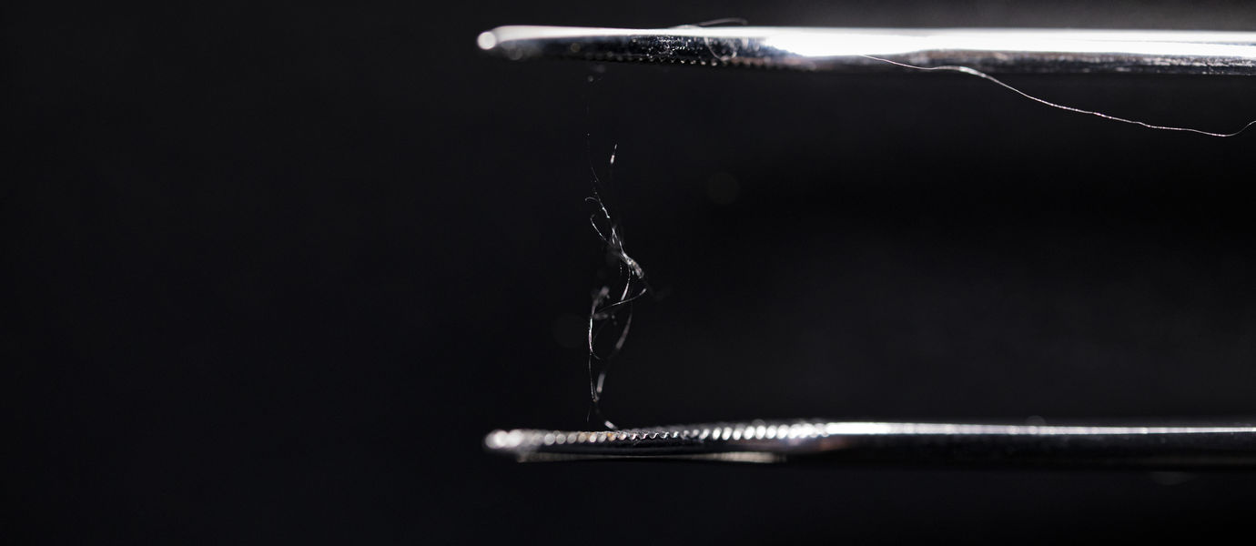 Could A Mix Of Wood Fibre And Spider Silk Rival Plastic? — Born To Engineer