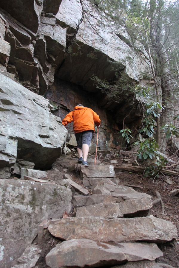 Greeter Falls Four Waterfalls, Blue Water Greet Hikers Along South