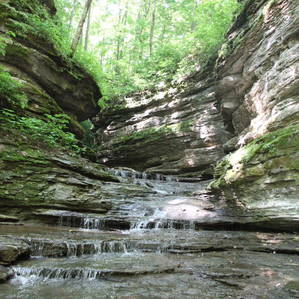 Walk the Winding Stairs Hike Down Cool Tennessee Creek Like a Staircase at Lafayette Park The
