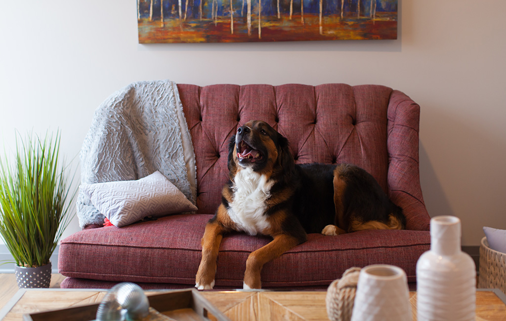 Ranch Style Apartments In Columbus, Ohio Borror