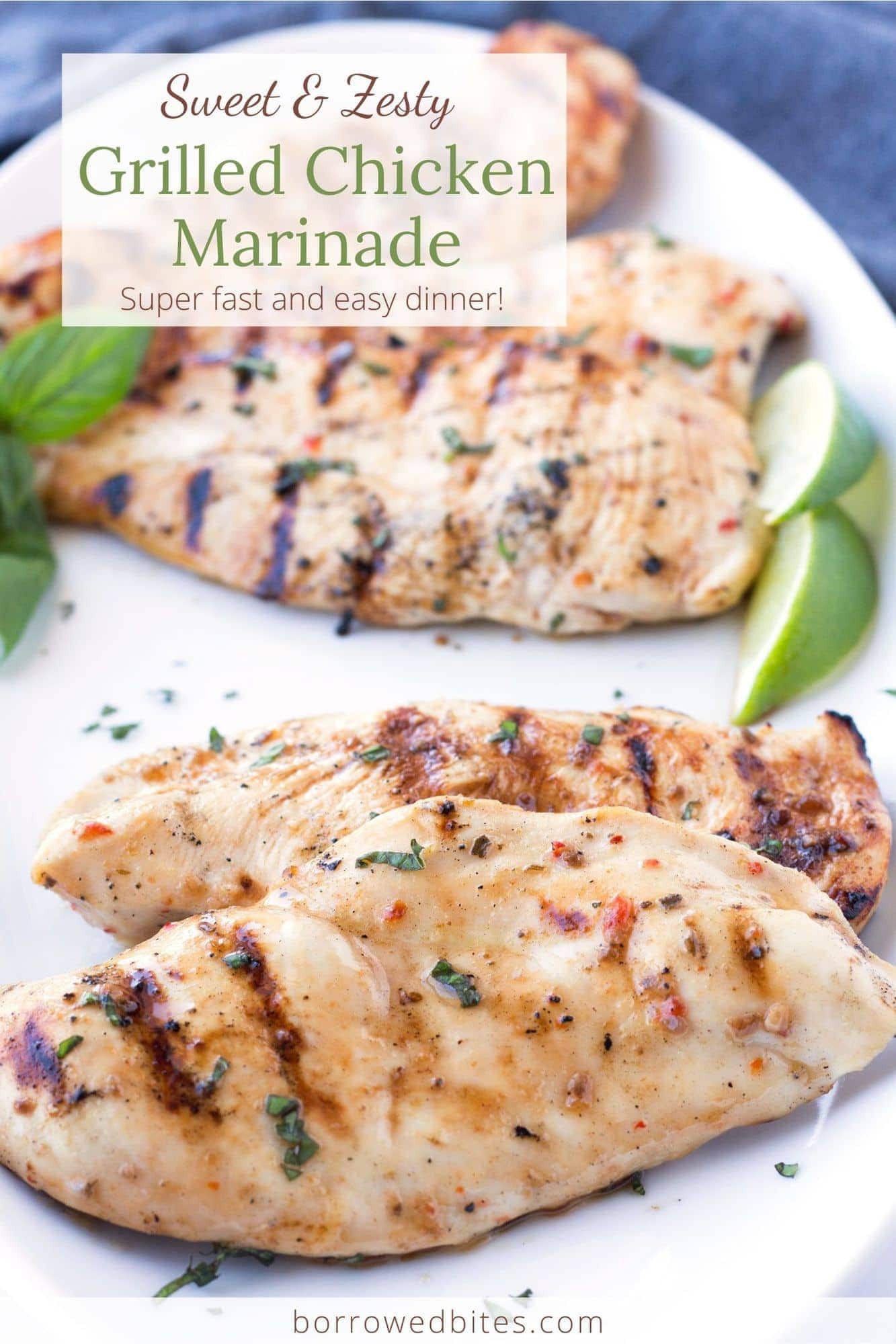 Easy 4Ingredient Chicken Marinade (w/ Italian Dressing) Borrowed Bites