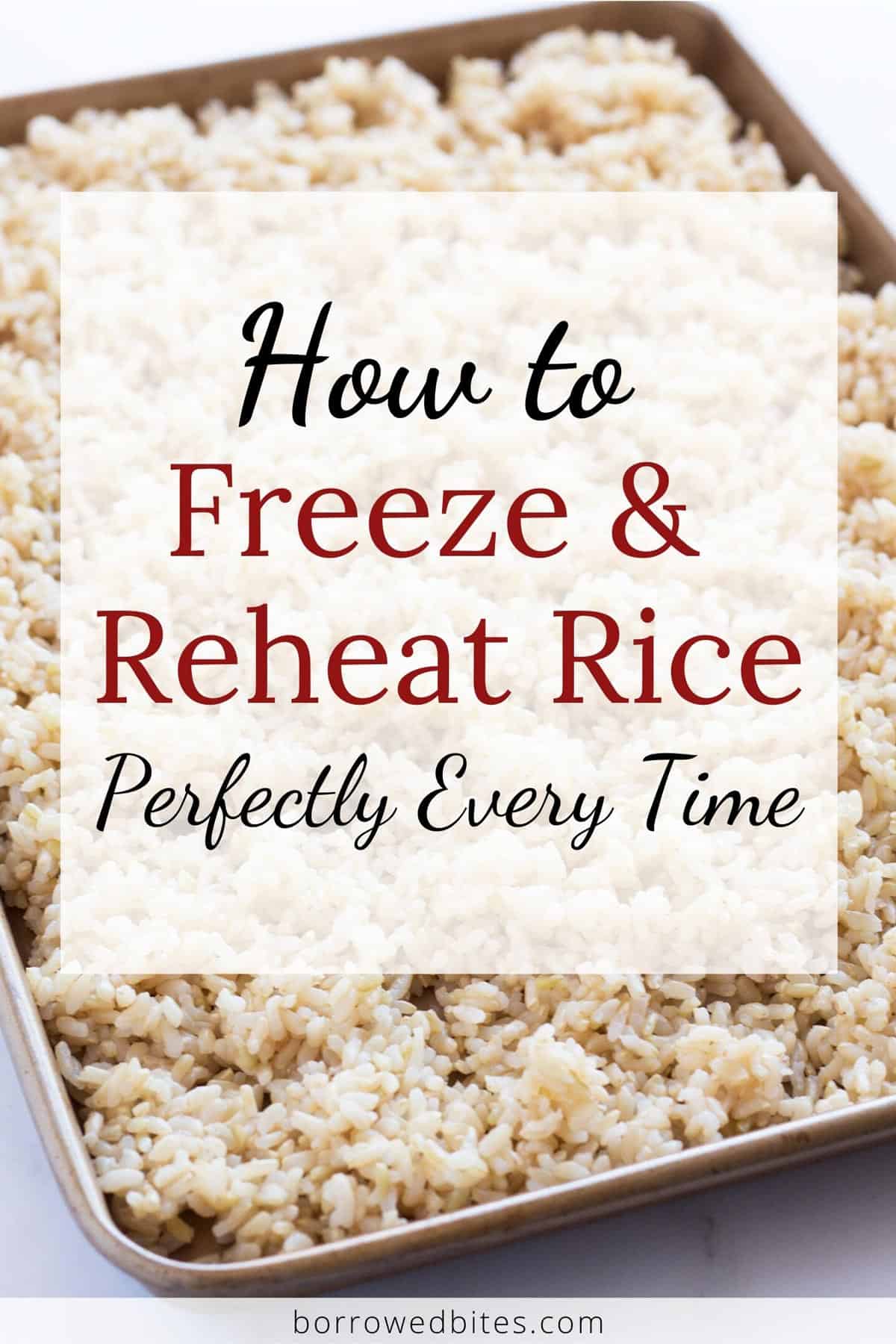 How To Freeze And Reheat Cooked Rice - Borrowed Bites