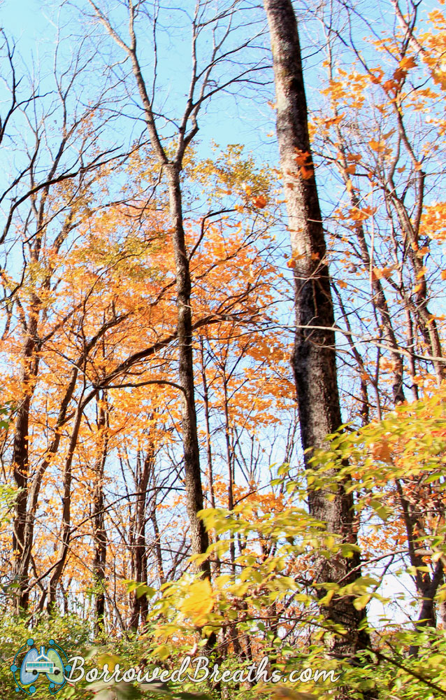 Southwestway Park Solitude Borrowed Breaths