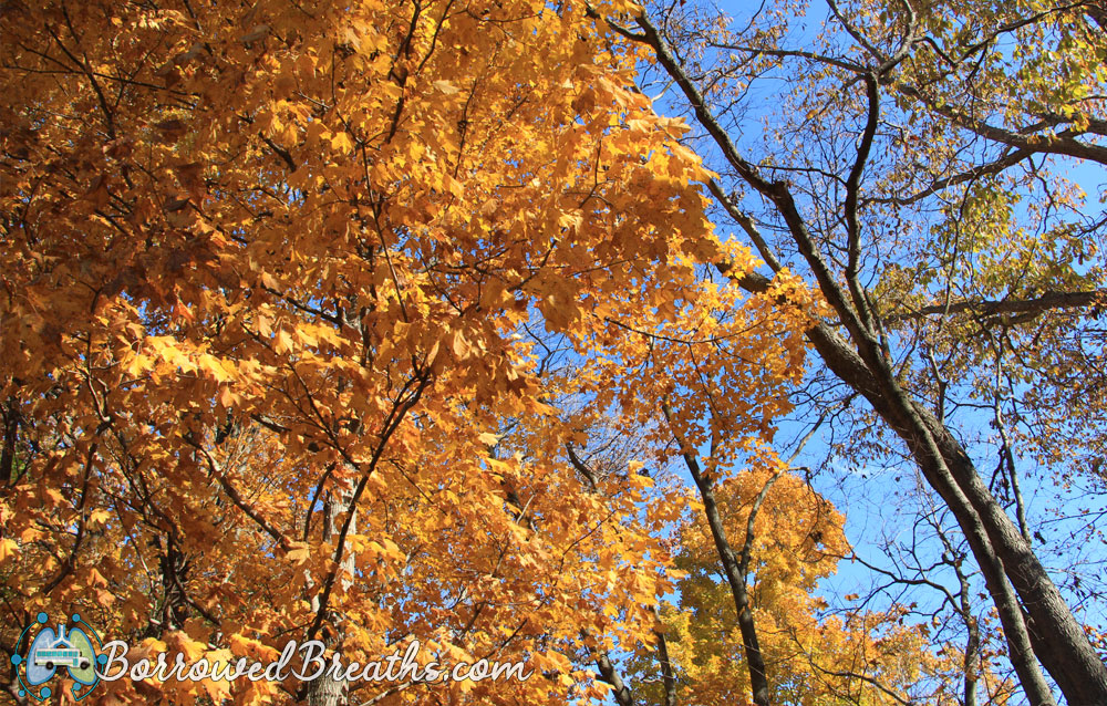 Southwestway Park Solitude Borrowed Breaths