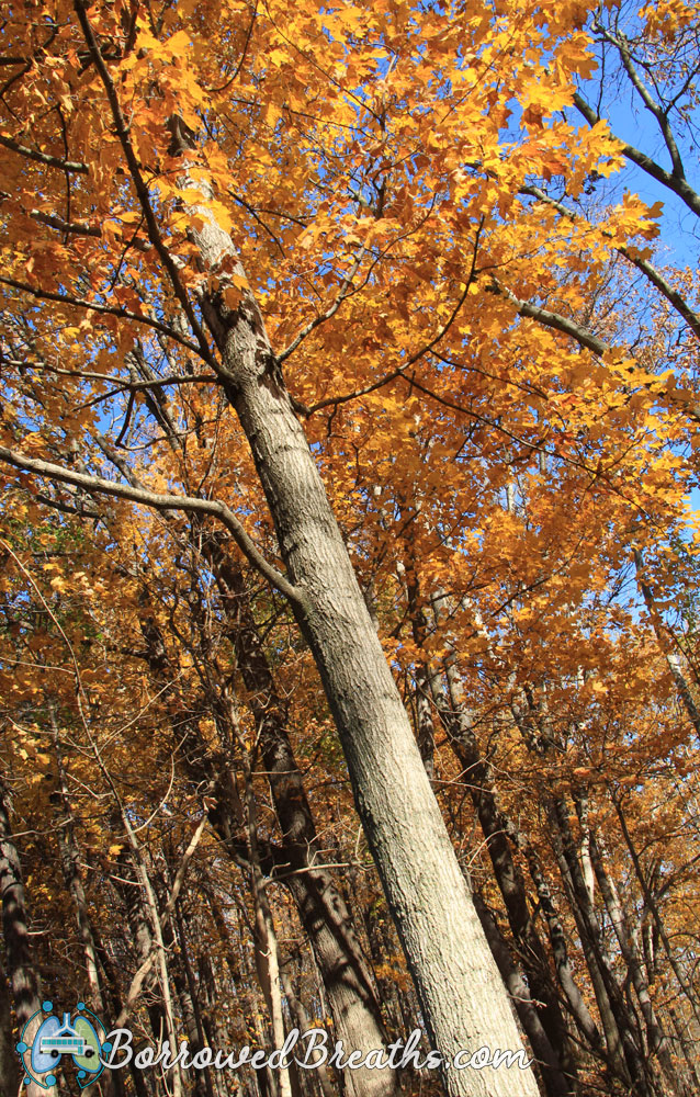 Southwestway Park Solitude Borrowed Breaths