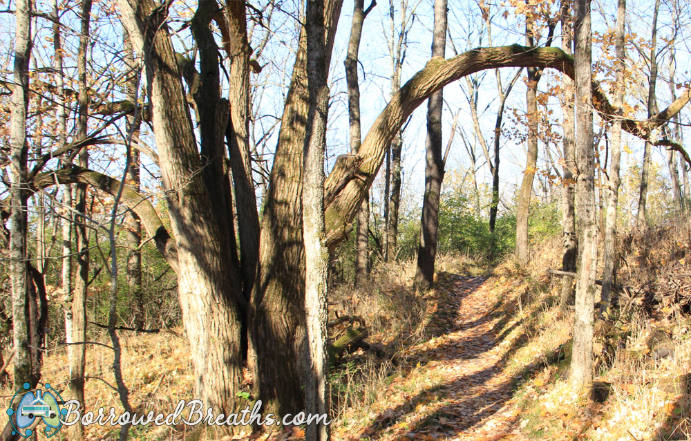 Southwestway Park Solitude Borrowed Breaths