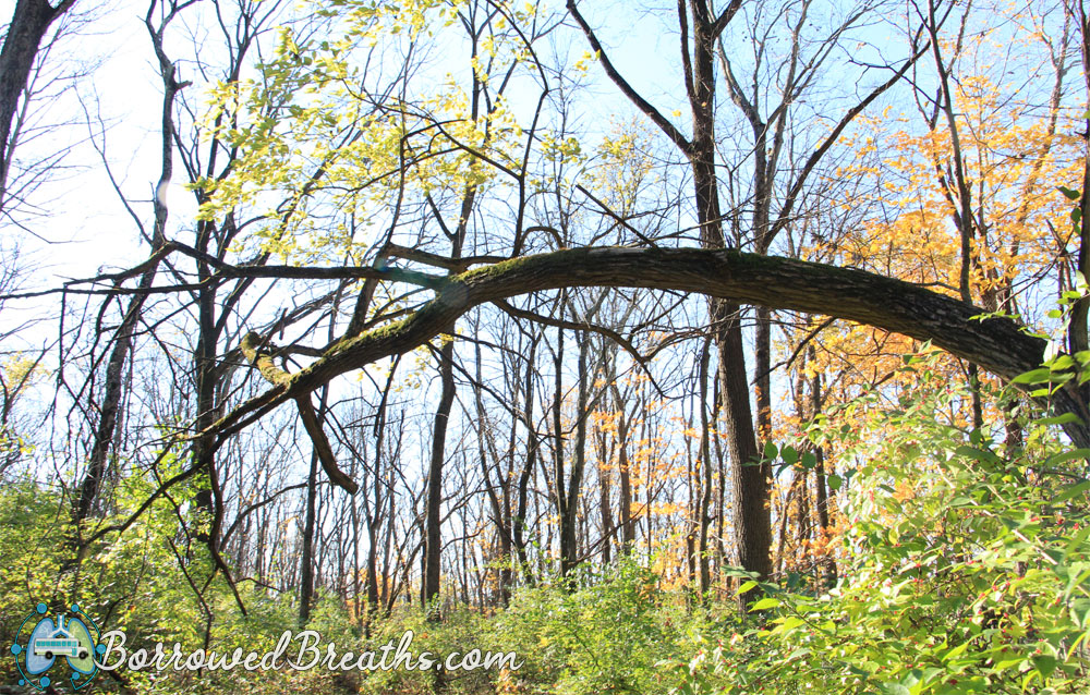 Southwestway Park Solitude Borrowed Breaths