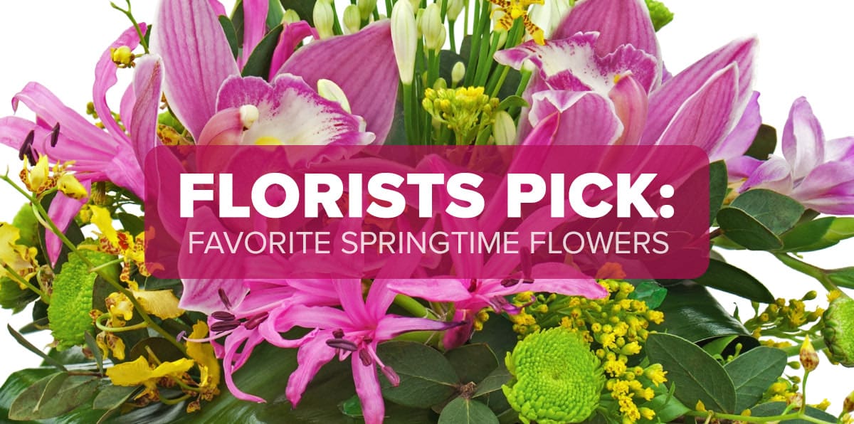 The Top Flowers of Spring Boslands Flower Shop