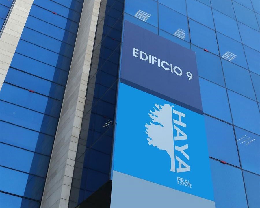 Haya Real Estate, Proyecto Fenix