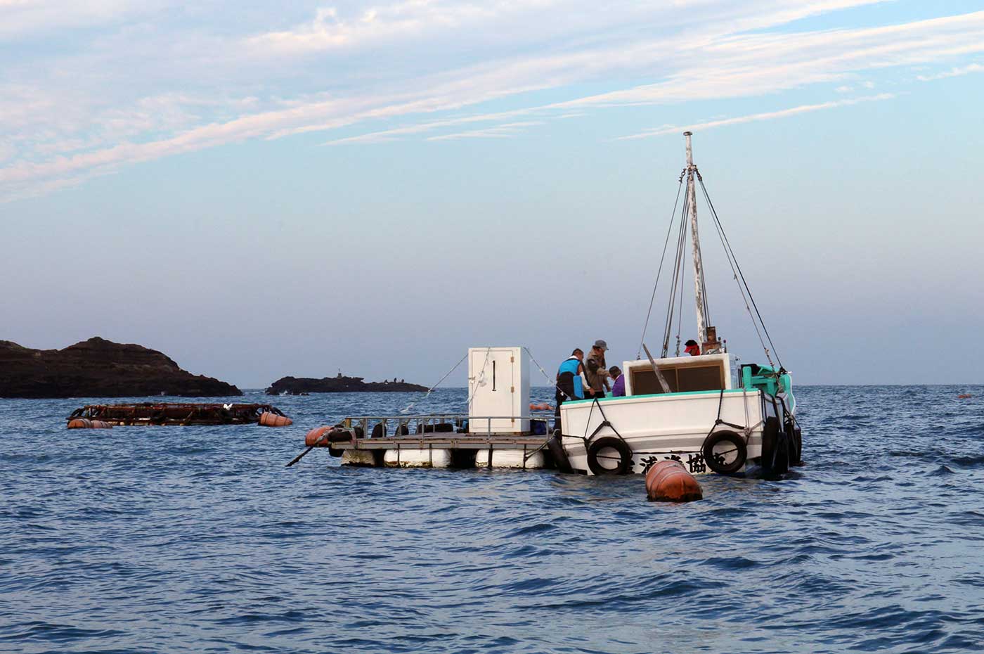 富浦イカダ・カセ クロダイのかかり釣り