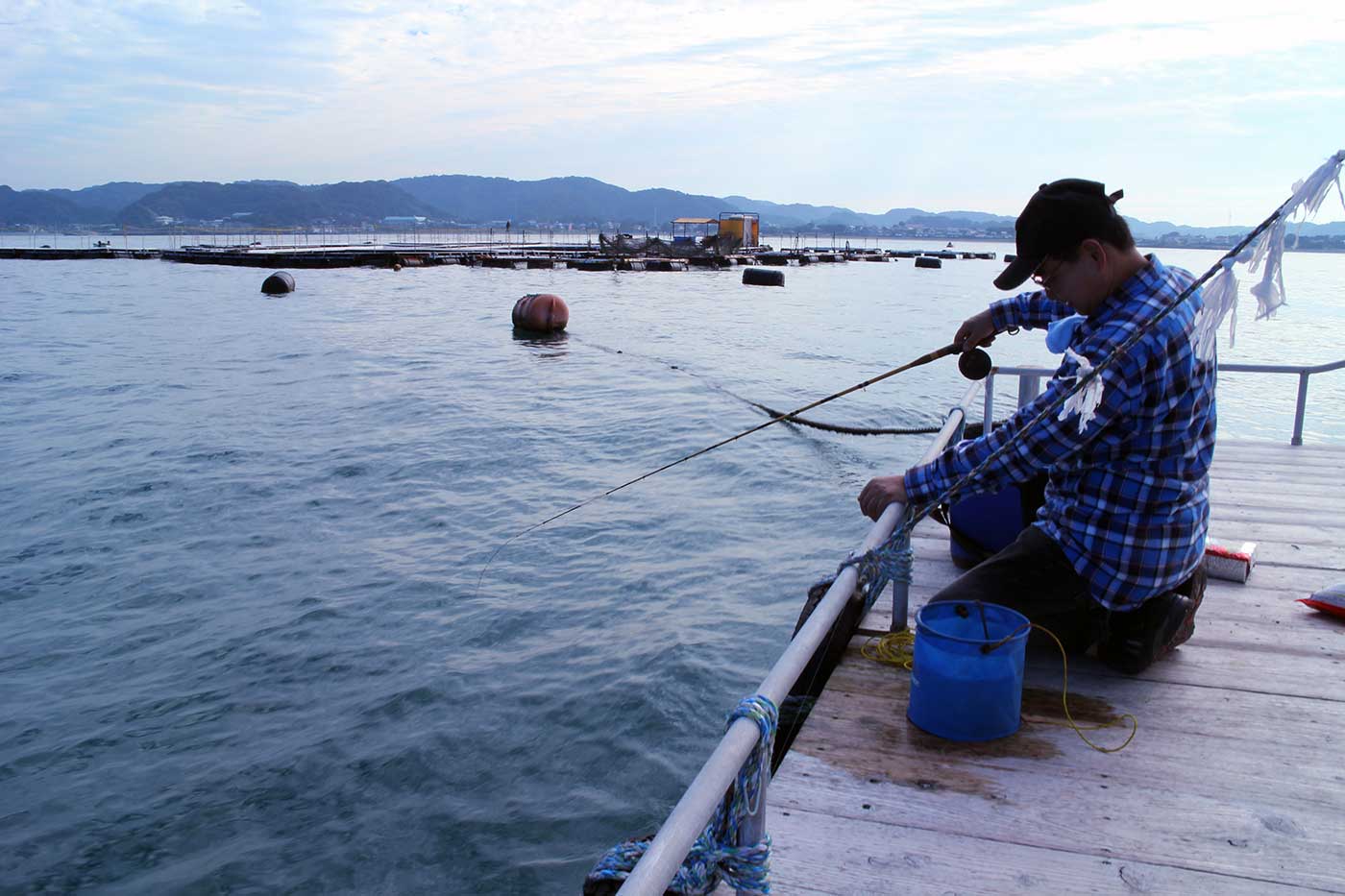 富浦イカダ・カセ クロダイのかかり釣り