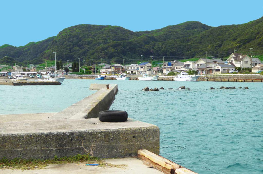 乙浜港の釣り