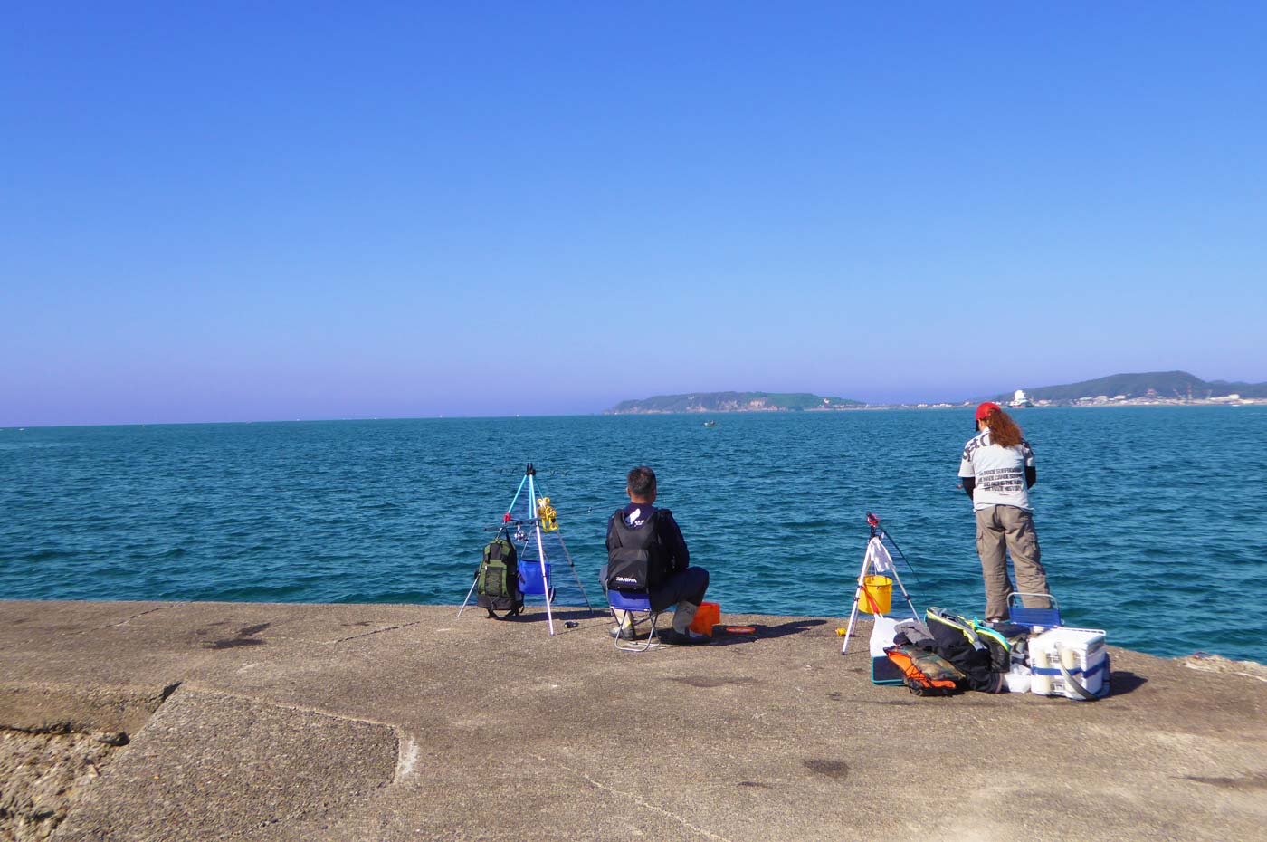 築港の釣り