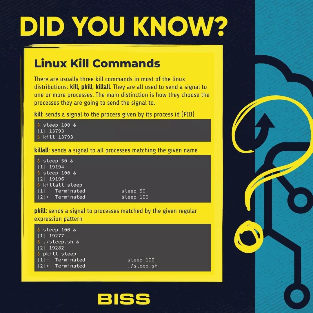 Linux kill commands BISS