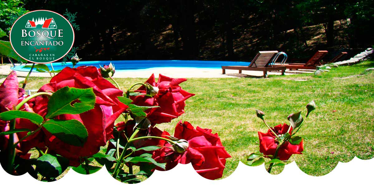 Bienvenidos a Cabañas Bosque Encantado Merlo, San Luis