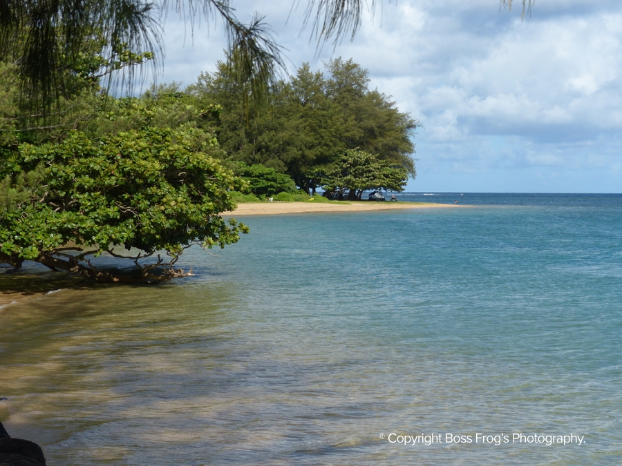 Anini Beach Guide Boss Frog's Hawaii