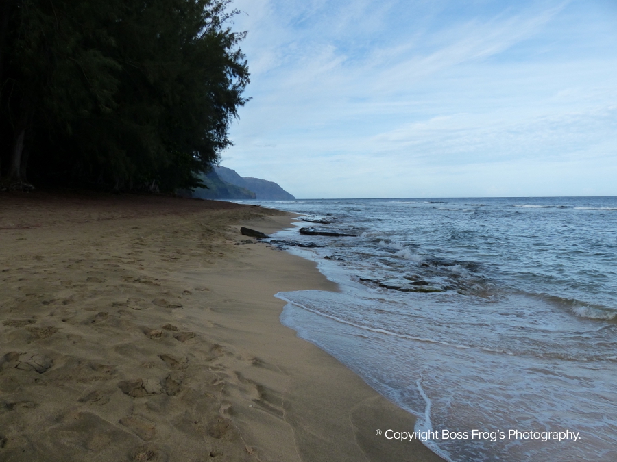 Ke'e Beach Guide Boss Frog's Hawaii