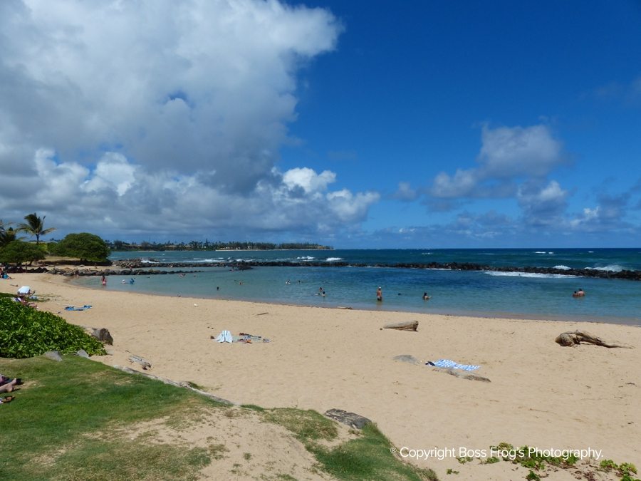 Lydgate Beach Park Boss Frog's Snorkel, Bike & Beach Rentals