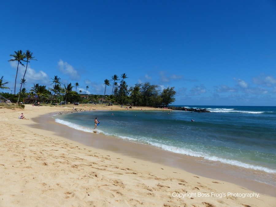 Poipu Beach Boss Frog's Snorkel, Bike & Beach Rentals