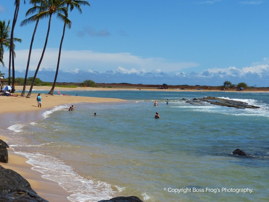 Salt Pond Beach Park Boss Frog's Hawaii