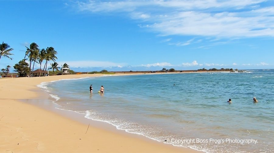 Salt Pond Beach Park Boss Frog's Snorkel, Bike & Beach Rentals