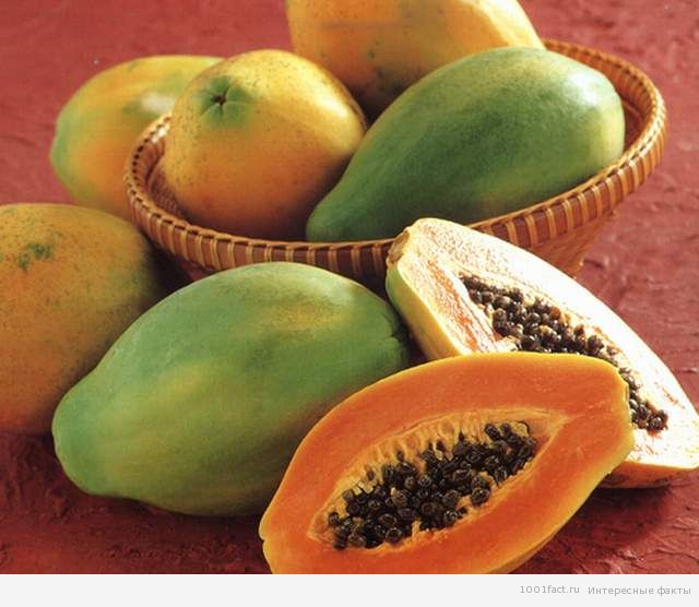 16 Absorbing Facts About Papaya