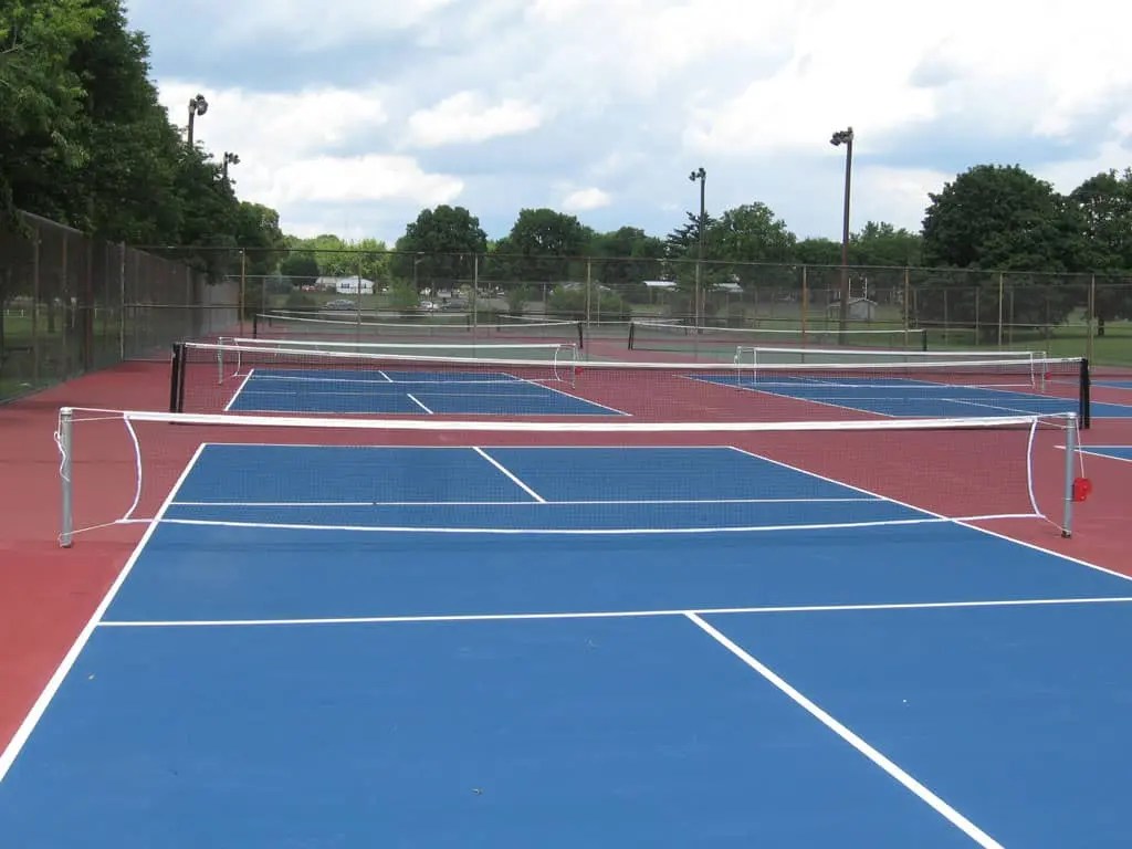 Best Pickleball Nets for 2019 BossSquash Pickleball