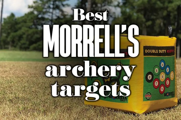 Best Foam Archery Targets2022 Boss Targets
