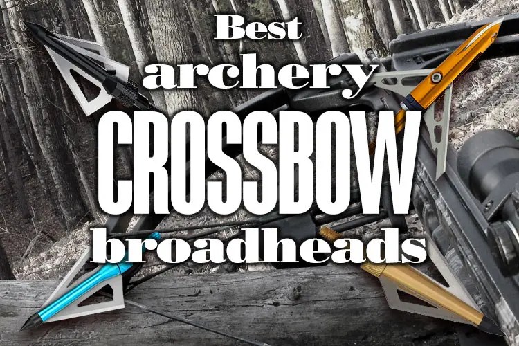 Best Archery Crossbow Broadheads 2024 Boss Targets