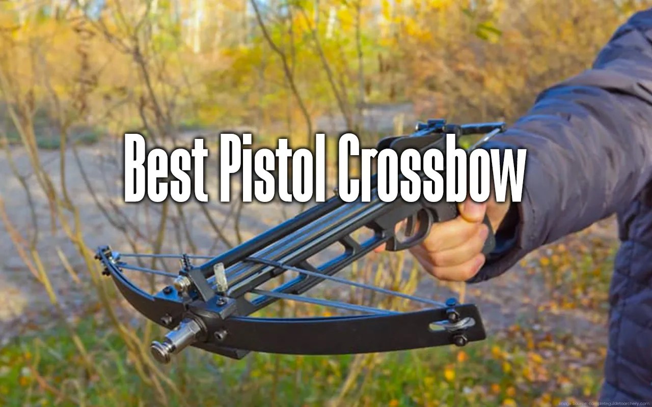 Best Pistol Crossbow in 2024 Boss Targets