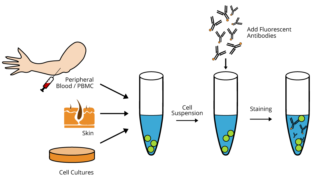 Flow Cytometry Fundamental Principle
