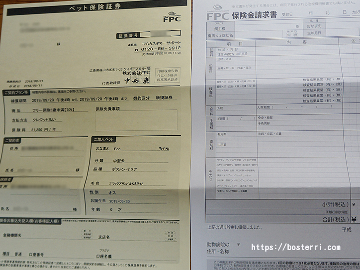 ボストンテリアに最適な保険の選び方とは？ペット保険3社を比較して申し込んでみた