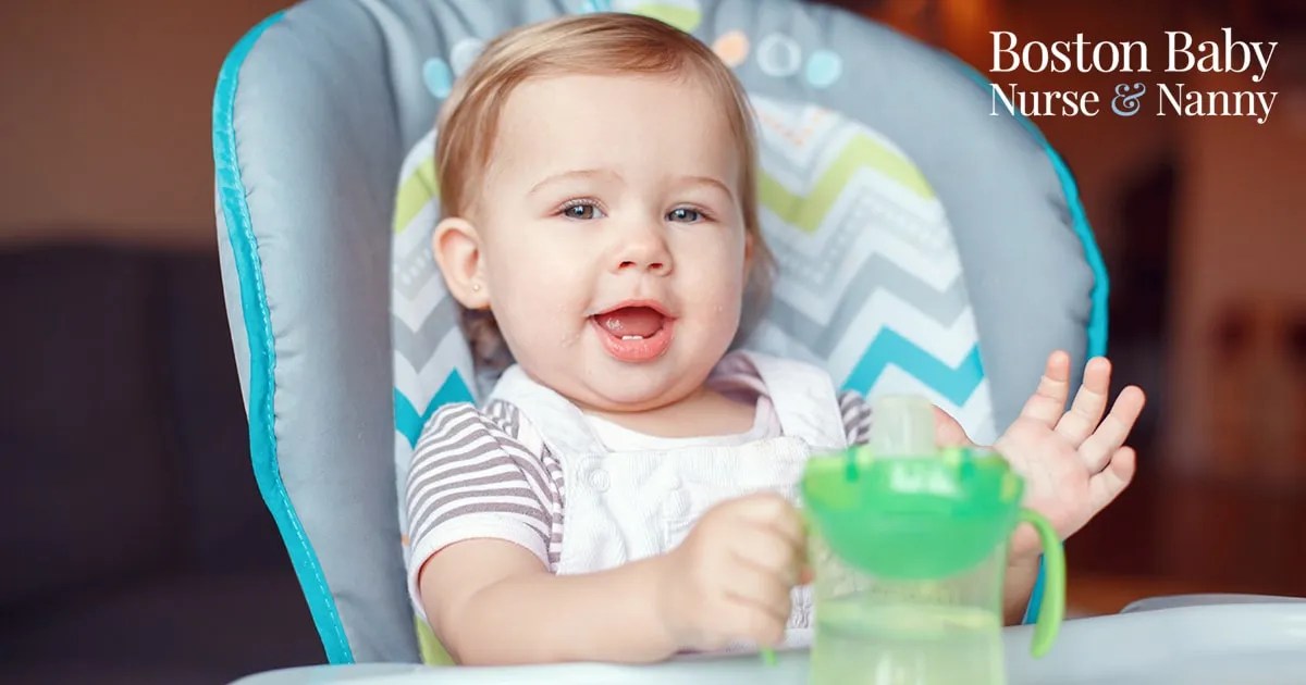 Baby Proof Your Home Boston Baby Nurse & Nanny