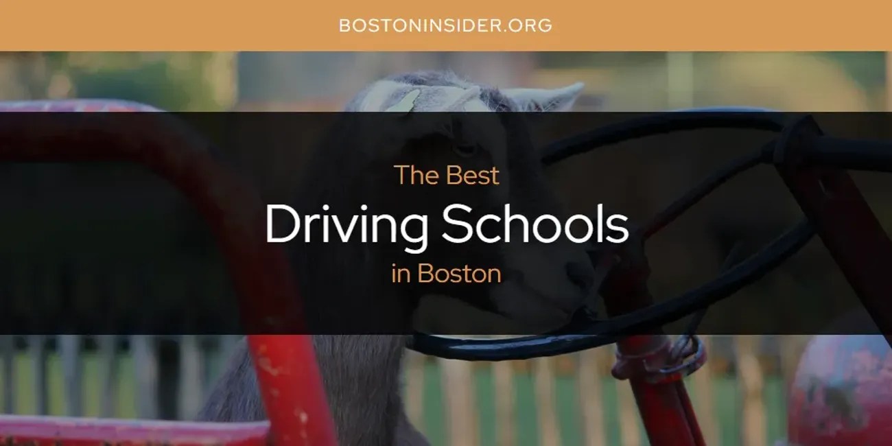 The Absolute Best Charter Schools in Boston [Updated 2025]