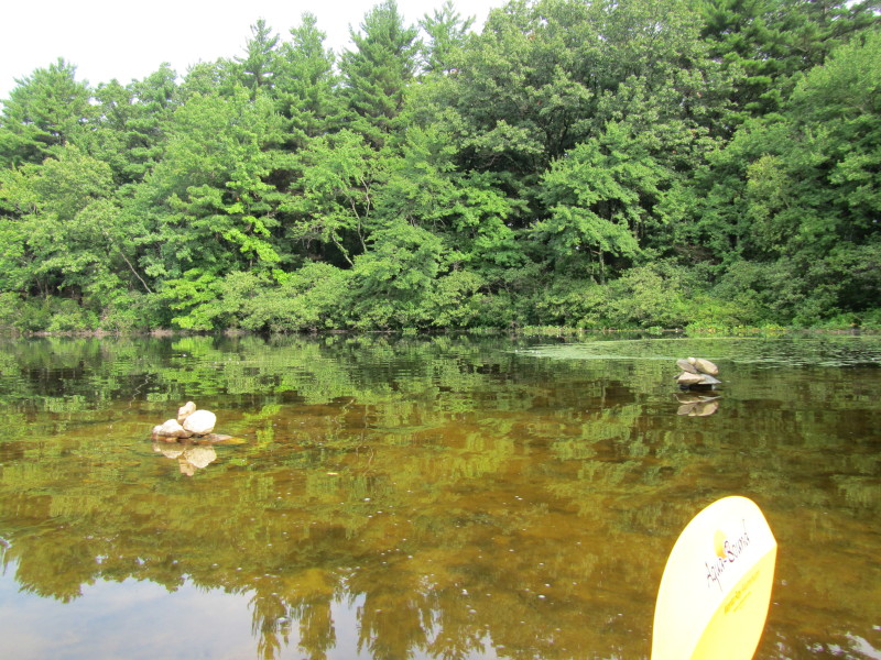 Boston Kayaker Kayaking on Ashland State Park and Reservoir in Ashland MA