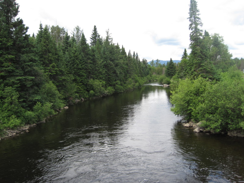 Boston Kayaker Kayaking on First Roach Pond in Kokadjo ME