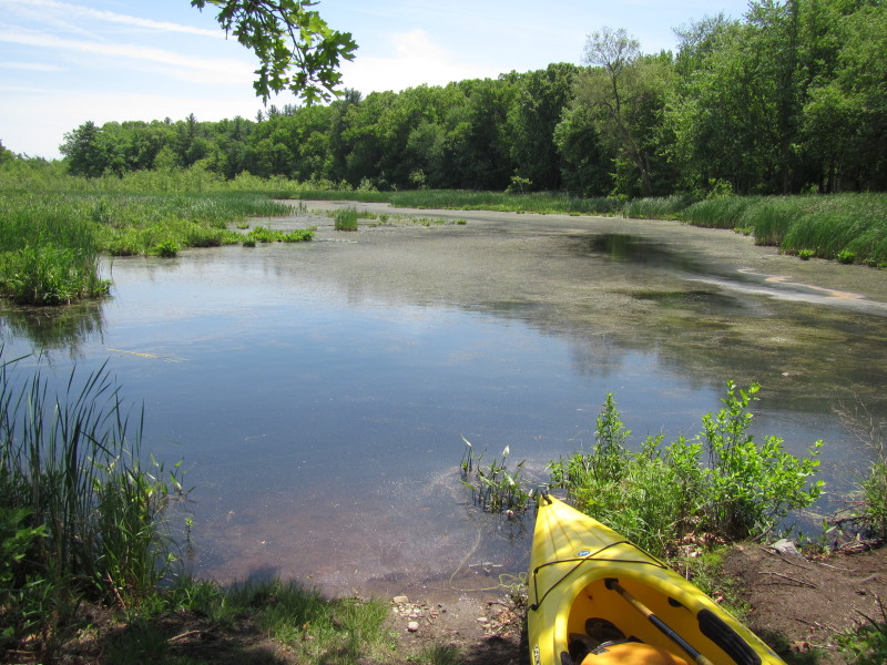 Boston Kayaker Kayaking on Pond and Beaver Brook in Westford MA