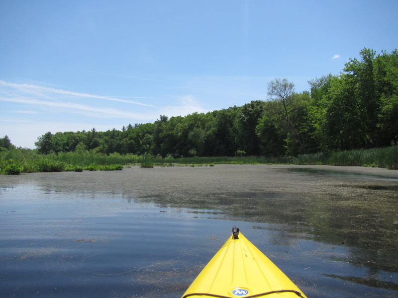 Boston Kayaker Kayaking on Pond and Beaver Brook in Westford MA