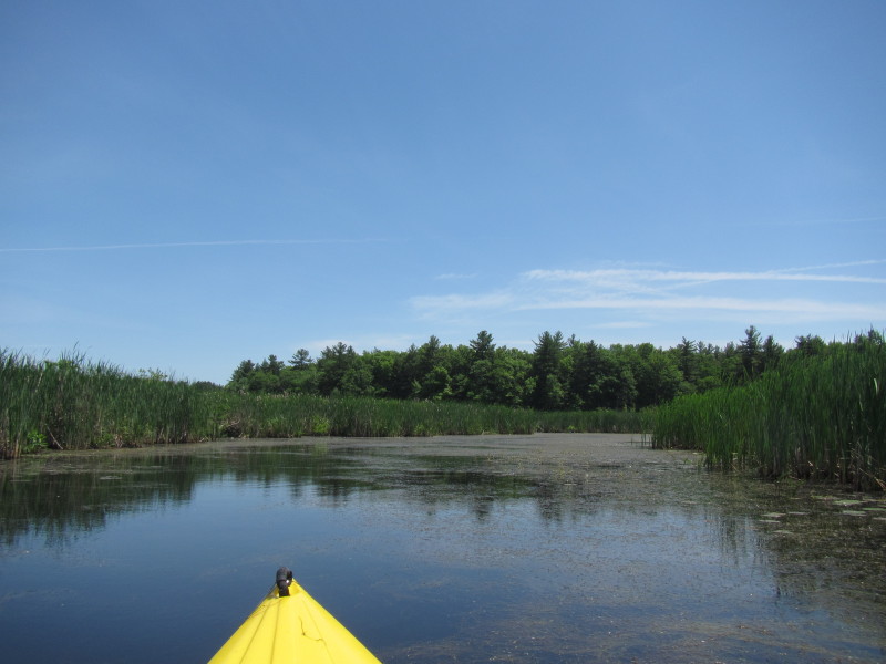 Boston Kayaker Kayaking on Pond and Beaver Brook in Westford MA