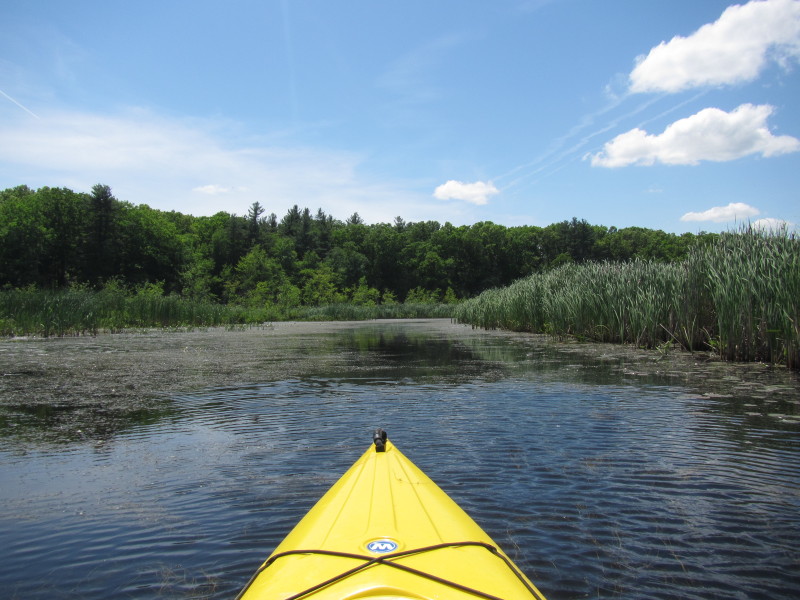 Boston Kayaker Kayaking on Pond and Beaver Brook in Westford MA