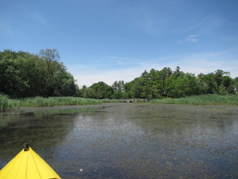 Boston Kayaker Kayaking on Pond and Beaver Brook in Westford MA