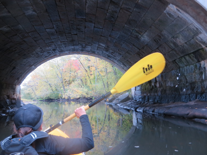 Boston Kayaker Kayaking on Ipswich River from Topsfield MA to Ipswich MA