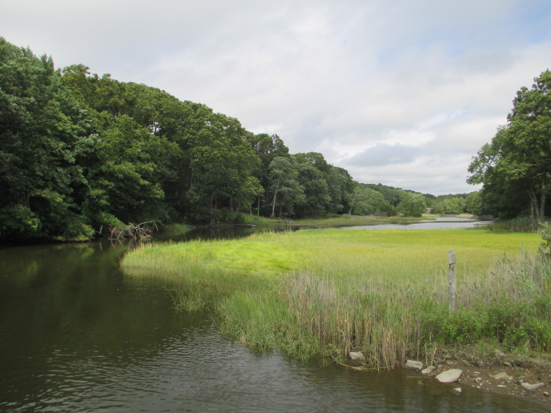 Boston Kayaker Kayaking on Menunketesuck River in Westbrook CT