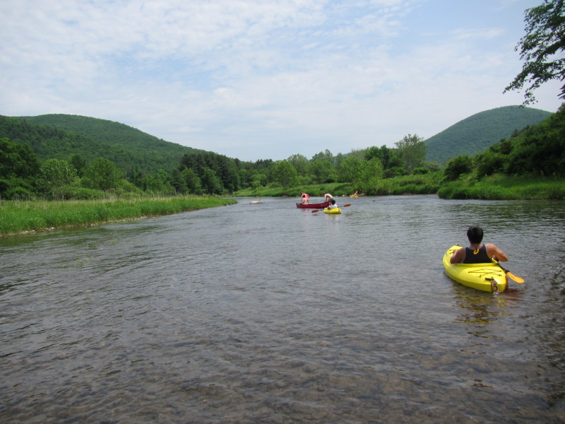 Boston Kayaker Kayaking on Upper Pine Creek from Gaines PA to Ansonia PA