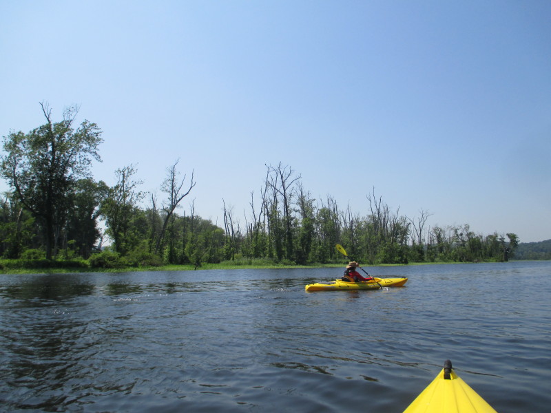 Boston Kayaker Kayaking on Salmon River in East Haddam CT
