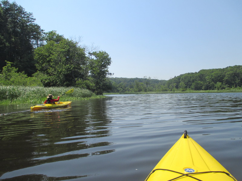 Boston Kayaker Kayaking on Salmon River in East Haddam CT